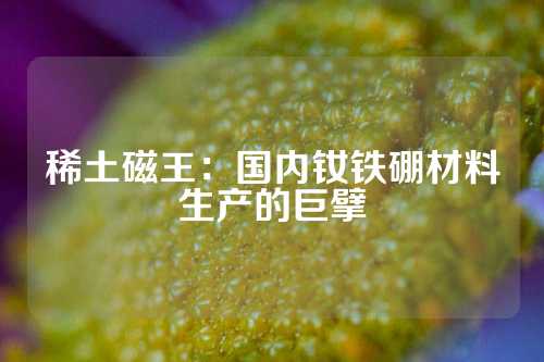 稀土磁王：国内钕铁硼材料生产的巨擘