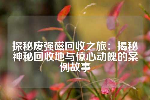 探秘废强磁回收之旅：揭秘神秘回收地与惊心动魄的案例故事