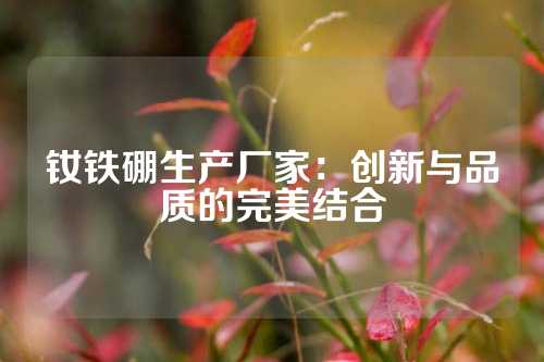 钕铁硼生产厂家：创新与品质的完美结合