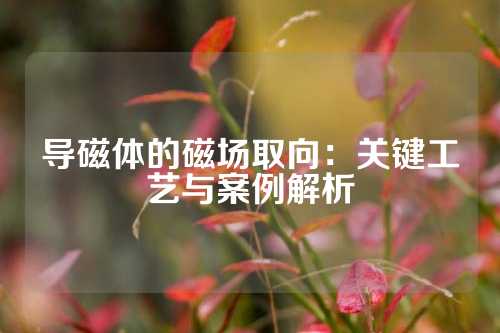 导磁体的磁场取向：关键工艺与案例解析