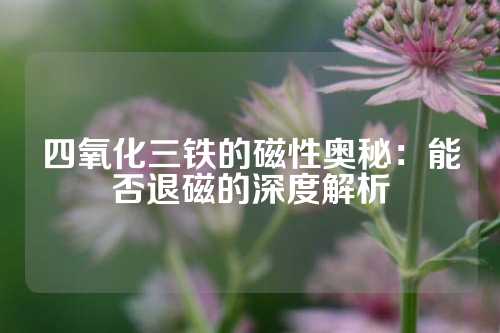 四氧化三铁的磁性奥秘：能否退磁的深度解析