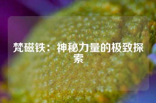 梵磁铁：神秘力量的极致探索