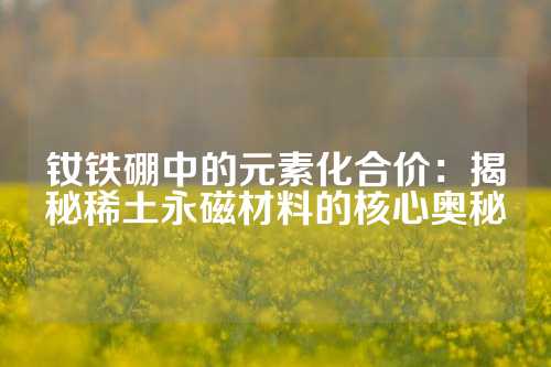 钕铁硼中的元素化合价：揭秘稀土永磁材料的核心奥秘