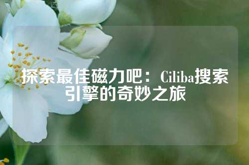 探索最佳磁力吧：Ciliba搜索引擎的奇妙之旅