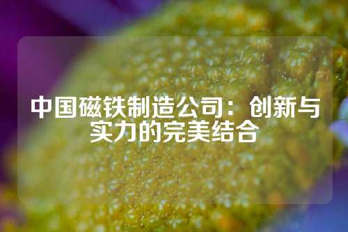 中国磁铁制造公司：创新与实力的完美结合
