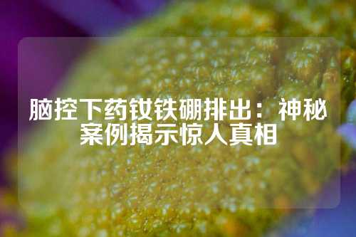 脑控下药钕铁硼排出：神秘案例揭示惊人真相