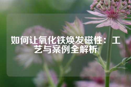 如何让氧化铁焕发磁性：工艺与案例全解析