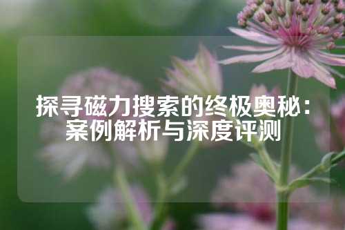 探寻磁力搜索的终极奥秘：案例解析与深度评测