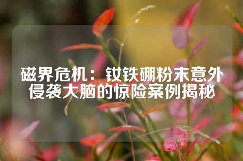 磁界危机：钕铁硼粉末意外侵袭大脑的惊险案例揭秘