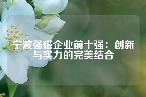 宁波强磁企业前十强：创新与实力的完美结合