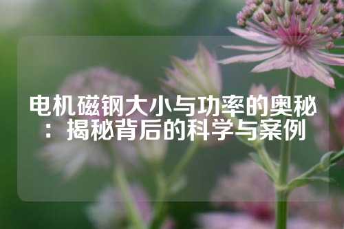 电机磁钢大小与功率的奥秘：揭秘背后的科学与案例