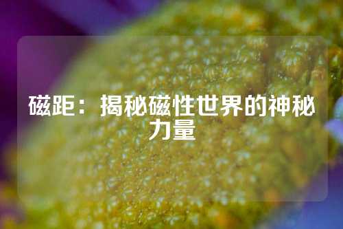 磁距：揭秘磁性世界的神秘力量