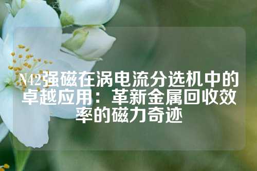 N42强磁在涡电流分选机中的卓越应用：革新金属回收效率的磁力奇迹