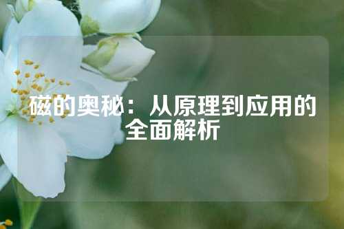 磁的奥秘：从原理到应用的全面解析