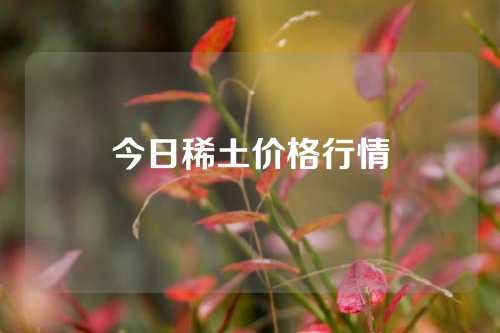 今日稀土价格行情
