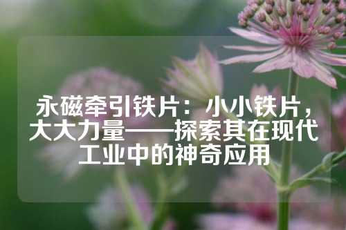 永磁牵引铁片：小小铁片，大大力量——探索其在现代工业中的神奇应用