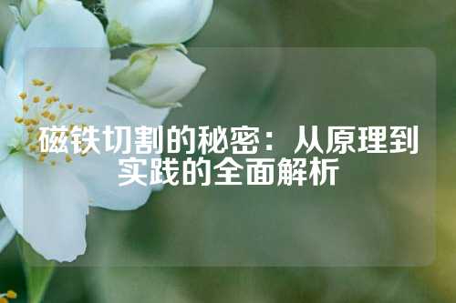 磁铁切割的秘密：从原理到实践的全面解析