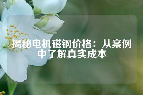 揭秘电机磁钢价格：从案例中了解真实成本