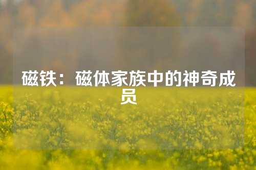 磁铁：磁体家族中的神奇成员