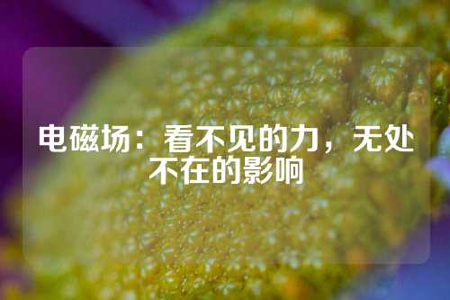 电磁场：看不见的力，无处不在的影响
