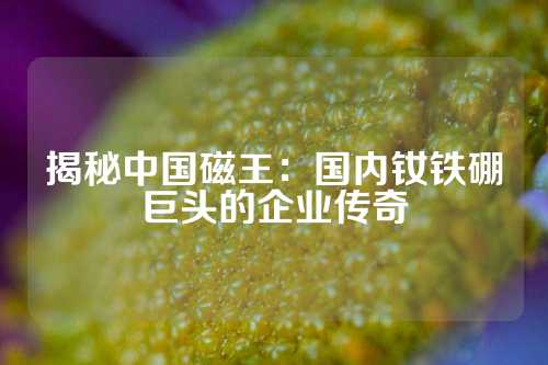 揭秘中国磁王：国内钕铁硼巨头的企业传奇