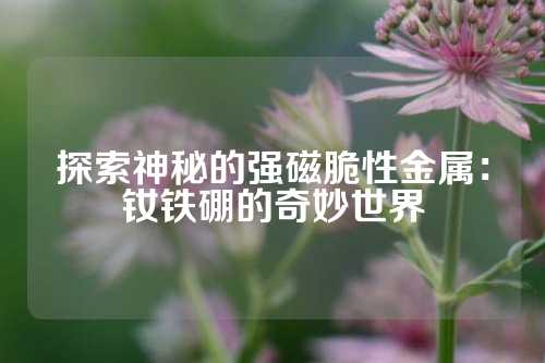 探索神秘的强磁脆性金属：钕铁硼的奇妙世界