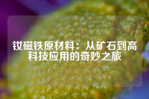 钕磁铁原材料：从矿石到高科技应用的奇妙之旅