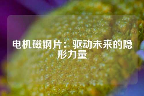 电机磁钢片：驱动未来的隐形力量