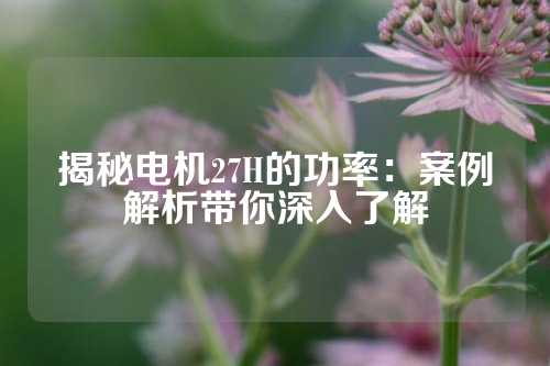 揭秘电机27H的功率：案例解析带你深入了解