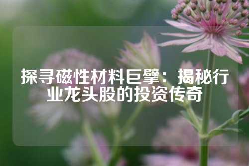 探寻磁性材料巨擘：揭秘行业龙头股的投资传奇