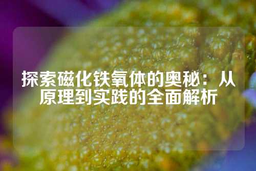 探索磁化铁氧体的奥秘：从原理到实践的全面解析