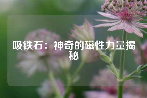 吸铁石：神奇的磁性力量揭秘